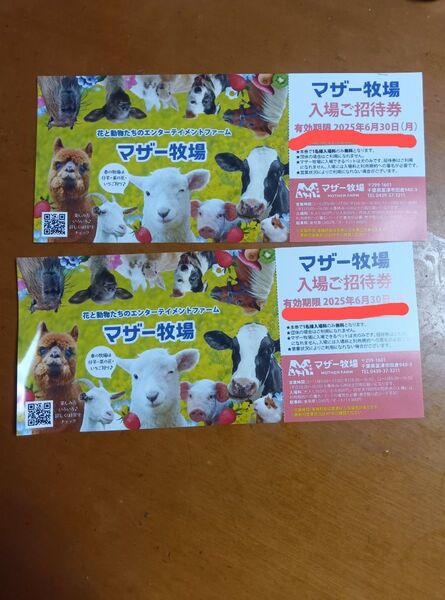 マザー牧場 入場ご招待券 2枚