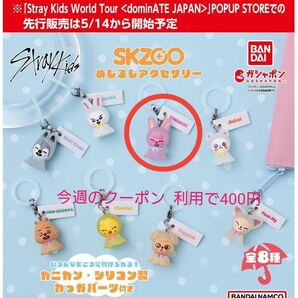 Stray Kids SKZOO めじるしアクセサリー チャンビン トゥエッキ ガチャ