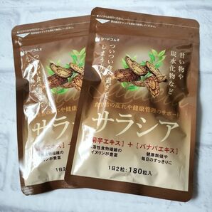 サラシア 約6ヶ月分(約3ヶ月分×2袋) 菊芋 バナバ シードコムス ダイエット サプリメント サプリ イヌリン