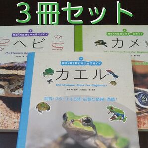 【爬虫・両生類ビギナーズガイド】《3冊セット》