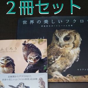 【フクロウの本】《2冊セット》