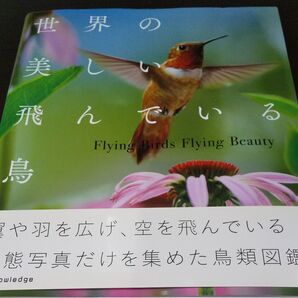 【世界の美しい飛んでいる鳥】
