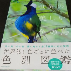 【世界の美しい色の鳥】