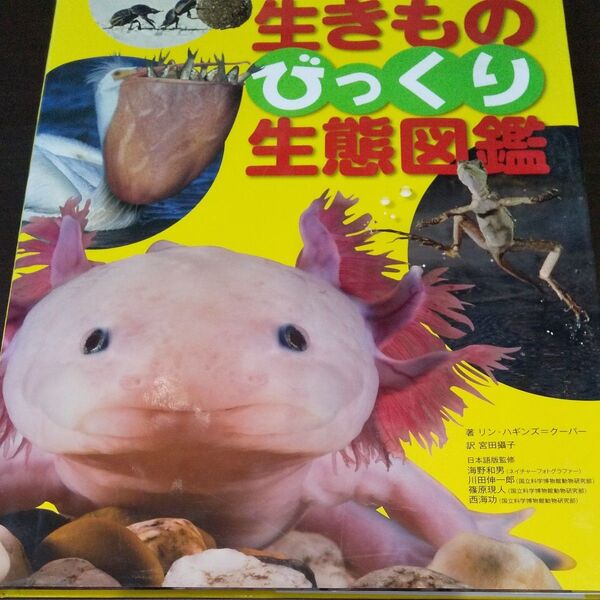 【生きものびっくり生態図鑑 】
