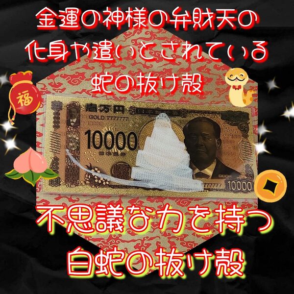 白蛇の抜け殻 金運アップ 御守り 健康長寿 病気回復 商売繁盛 開運厄除 子宝安産 縁結び
