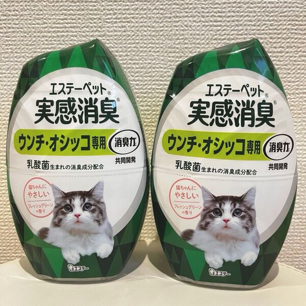 実感消臭 ウンチ・オシッコ専用 消臭力共同開発 エステーペット 猫用消臭剤 置き型
