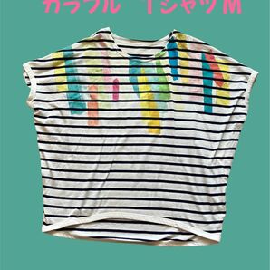【SALE】レディース ボーダー パステルTシャツ M