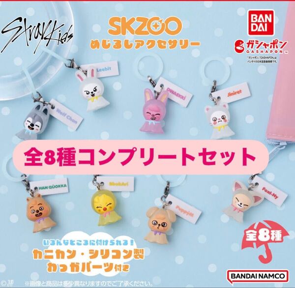 2.SKZOO めじるしアクセサリー 全8種コンプリートセット