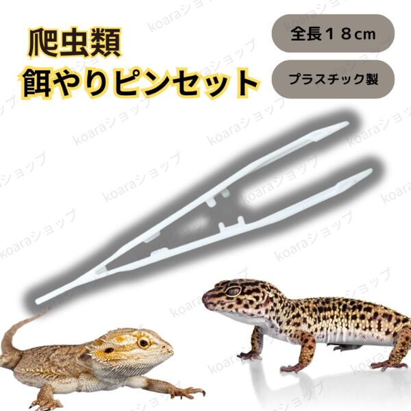 爬虫類 両生類 餌やり ピンセット 餌付け レオパ 18cm ピンセットロング