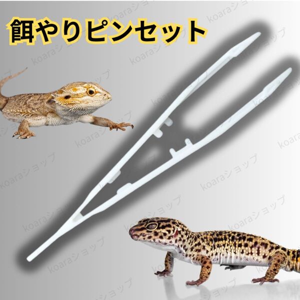 爬虫類 両生類 餌やり ピンセット 餌付け レオパ 18cm ピンセットロング