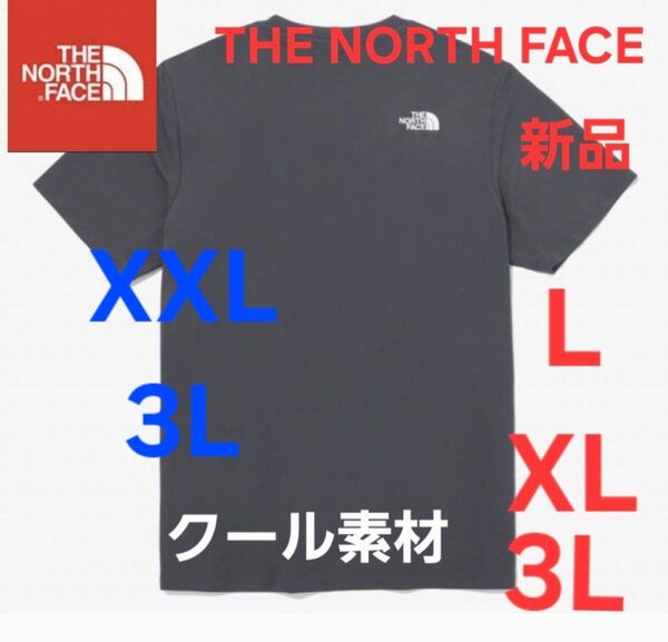 THE NORTH FACEノースフェイス 新品 クール感 半袖 Tシャツ2XL