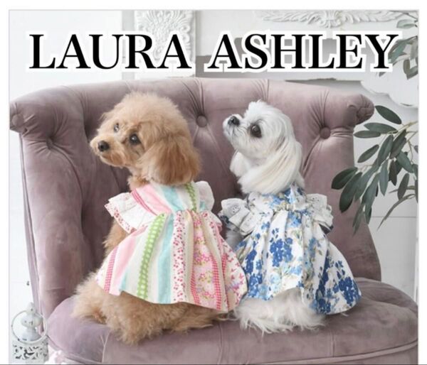 【極美品】LAURA ASHLEY ショルダーコットンフリルワンピース 2L 犬服 ワンピース ドッグウェア