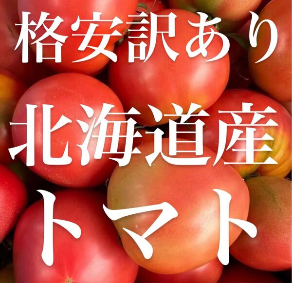 北海道産 トマト 訳あり 2kg 産地直送