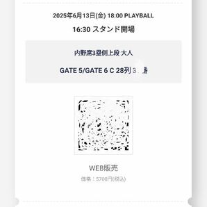 6月13日 楽天イーグルスvs阪神タイガース 1枚 3塁上段
