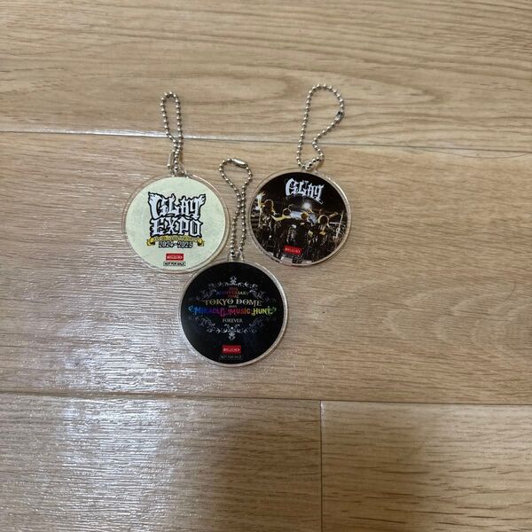 【新品】GLAY BIGエコー 限定 キーホルダー セット