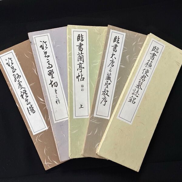 書道 臨書作品 蘭亭序など5冊セット