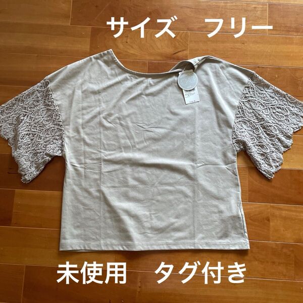 earth music&ecology 2WAY レーススリーブ カットソー 半袖 フリーサイズ グレーベージュ 未使用 タグ付き