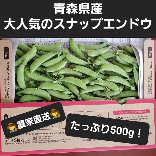 【農家直送!!】青森県産スナップエンドウ たっぷり500g