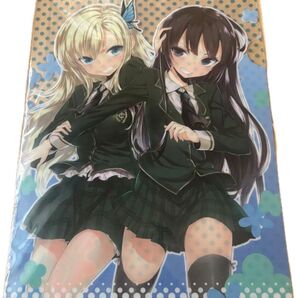b 僕は友達が少ない クリアファイル はがない