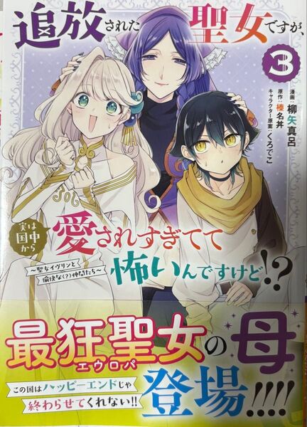 追放された聖女ですが、実は国中から愛されすぎてて怖いんですけど!?~聖女イヴリンと愉快な(?)仲間たち~ 3
