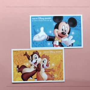 【2枚セット】TDR チケット