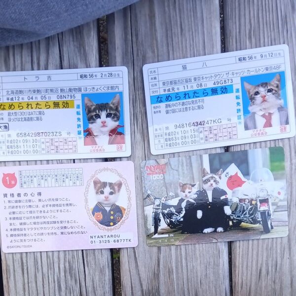 なめ猫 免許証 昭和レトロ カードコレクション トレカ 猫八 トラ吉 パロディカード付 未使用 なめんなよ 不良 バイク