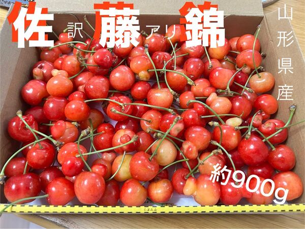 訳あり品 山形県さくらんぼ(佐藤錦)約900㎏