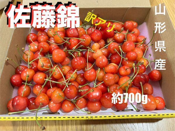 訳あり品 山形県さくらんぼ(佐藤錦)約700g