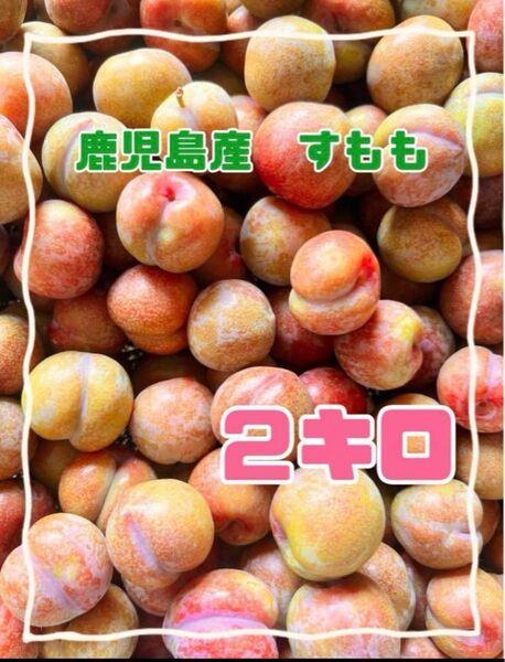すもも2キロ無農薬