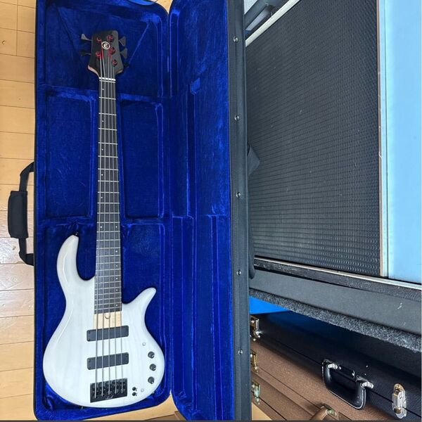 Elrick Expat eVolution 5-String ベース 5弦 エレキベース BASS