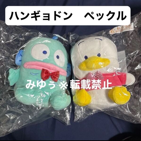 2等 ぬいぐるみ ③ ハンギョドン ⑥ あひるのペックル サンリオ 6月はぴだんぶい当りくじ