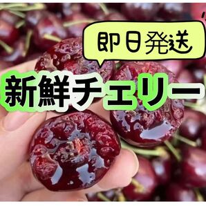 ワシントン州産 高糖度 プレミアムチェリー入荷〜アメリカンチェリー さくらんぼ チェリー 箱込み1kg