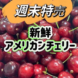 ワシントン州産 高糖度 プレミアムチェリー入荷〜アメリカンチェリー さくらんぼ チェリー 箱込み1kg