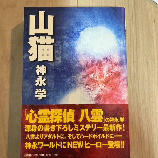 山猫 神永学 ミステリー 小説