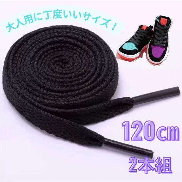 靴紐 黒 スニーカー 120cm 平紐 NIKE adidas vansフラット シューレース ブラック 靴ひも 運動