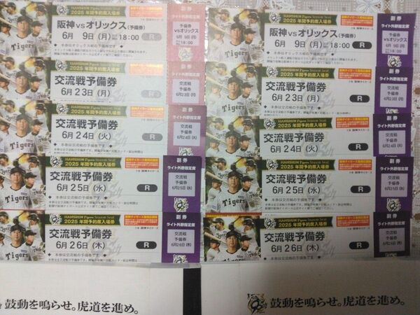 甲子園球場ライト外野指定席交流席予備日ペアチケット(5試合分)