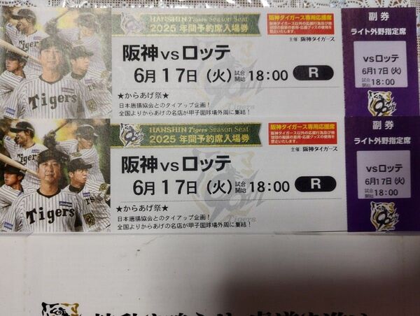 6/17 阪神vsロッテ 甲子園球場 ライト外野指定席ペアチケット