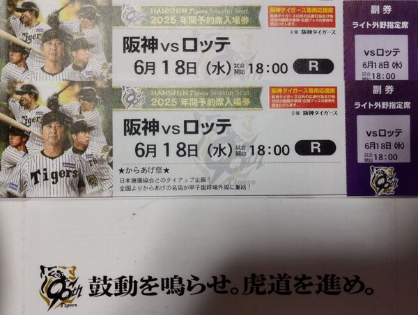 6/18 阪神vsロッテ 甲子園球場 ライト外野指定席ペアチケット