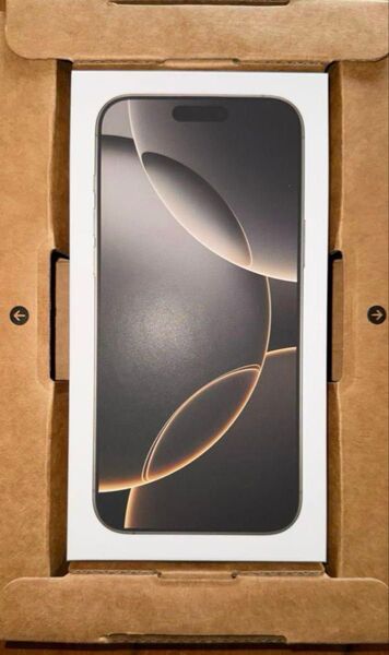 Apple iPhone16 Pro Max