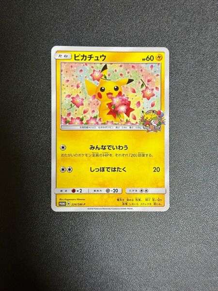 ポケモンカード ピカチュウ プロモ みんなでいわう