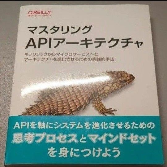 マスタリングAPIアーキテクチャ モノリシックからマイクロサービスへとアーキテクチャを進化させるための実践的手法 オライリー本美品