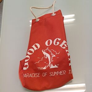難あり レトロ プールバック