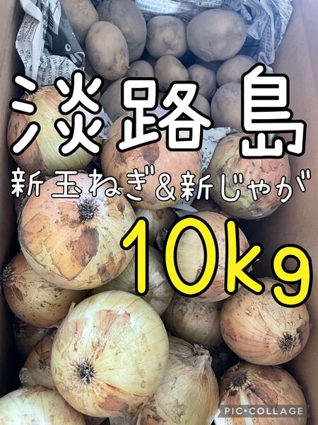 淡路島 新玉ねぎ & 新じゃが 10キロ 送料込み!農家直送!