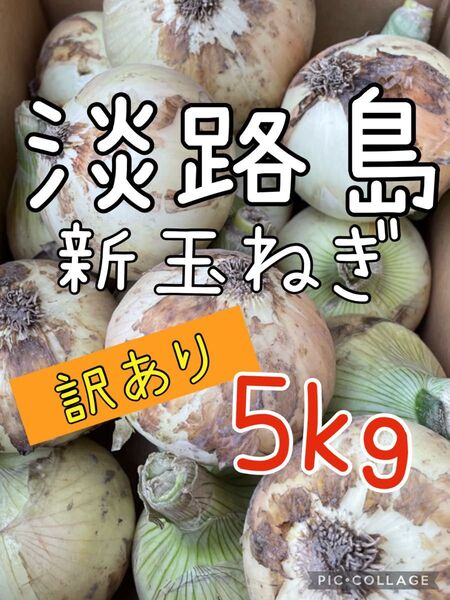 淡路島新玉ねぎ 訳あり 5キロ 送料込み!農家直送!