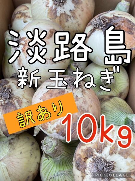 淡路島新玉ねぎ 訳あり 10キロ 送料込み!農家直送!