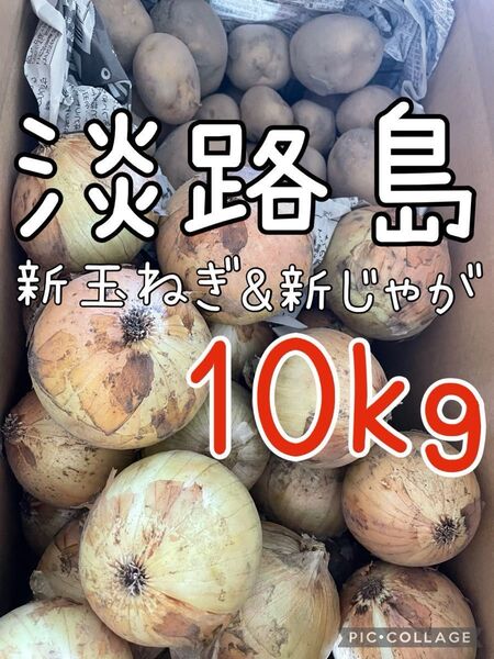 淡路島 新玉ねぎ & 新じゃが 10キロ 送料込み!農家直送!