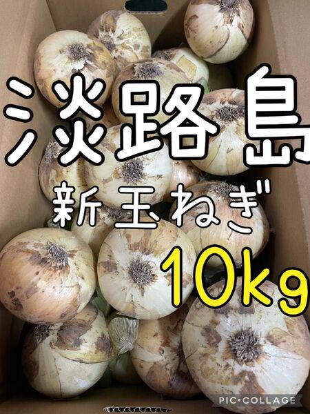 淡路島 新玉ねぎ 秀品 10キロ 送料込み!農家直送!