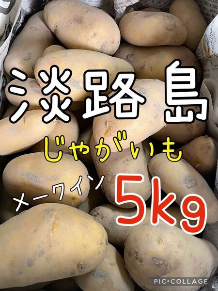 淡路島 じゃがいも 5キロ メークイン 送料込み!!