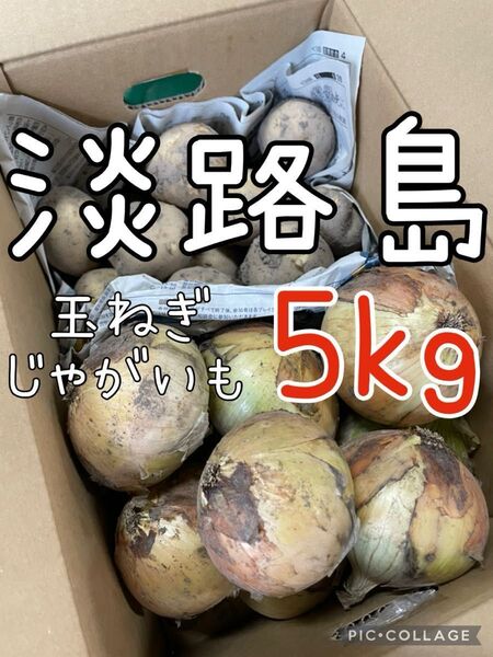 淡路島 玉ねぎ & じゃがいも 5キロ 送料込み!農家直送!