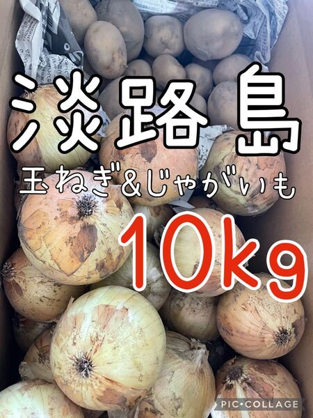 淡路島 玉ねぎ & じゃがいも 10キロ 送料込み!農家直送!